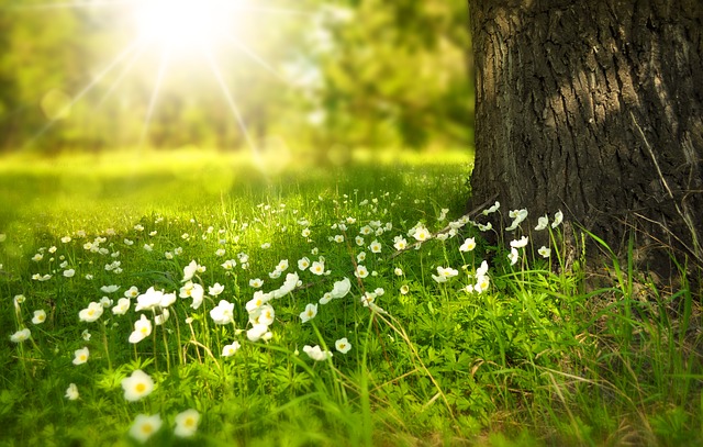 spring 276014 640